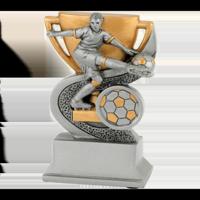 Sportprijzen Leiden Sport Trofee - Voetbal Heer