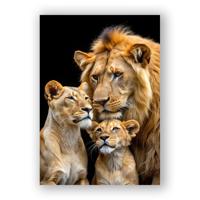 Glasschilderij - Leeuwenfamilie - 80 x 120 cm