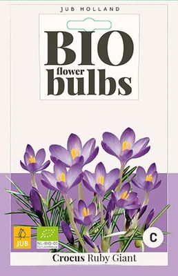 Crocus Ruby Giant 12 bollen - Jub