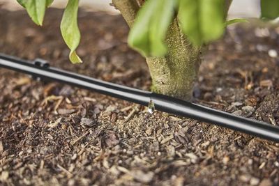 GARDENA Druppelbuis voor struiken of heggen (25 m) druppelaar