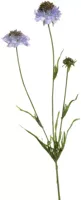 Pure Royal kunsttak scabiosa 66cm blauw Pure Royal kunsttak scabiosa 66cm blauw