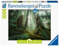 Ravensburger puzzel 1000 stukjes in het bos - thumbnail