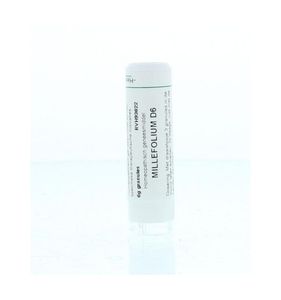 Millefolium D6