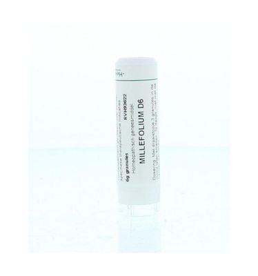 Millefolium D6