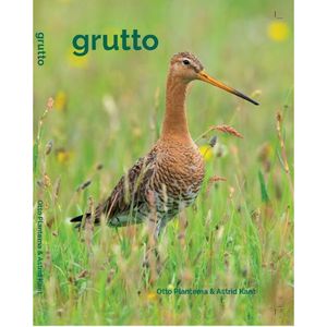 Grutto - (ISBN:9789464069624)