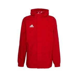 Adidas - Entrada - AW Jas - Rood