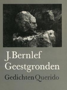 Geestgronden - J. Bernlef - ebook