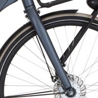 Cortina voorvork common family mystery grey matt