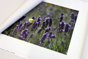 los gevernist doek 40x135 cm