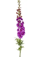 Emerald kunsttak delphinium 130cm paars