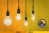 Paulmann 28776 LED-lamp Energielabel E (A - G) E27 7 W (Ø x h) 60 mm x 106 mm 1 stuk(s) - thumbnail