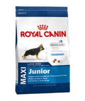 Hondenvoer SHN Maxi Junior, 4 kg - Royal Canin - thumbnail