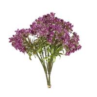 Kunstbundel Achillea Paars Kunstbundel Achillea Paars