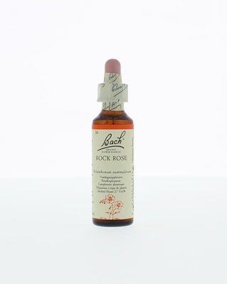 Rock rose/zonneroosje