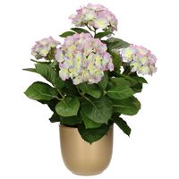 Hortensia kunstplant/kunstbloemen 45 cm - paars/groen - in pot goud glans