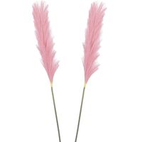 Pluimgras losse steel/tak - 2x - roze - 104 cm - Decoratie kunst pluimen