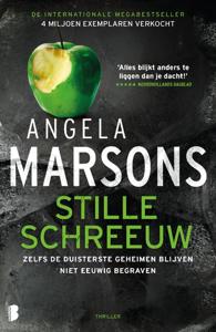 Stille schreeuw (Paperback)