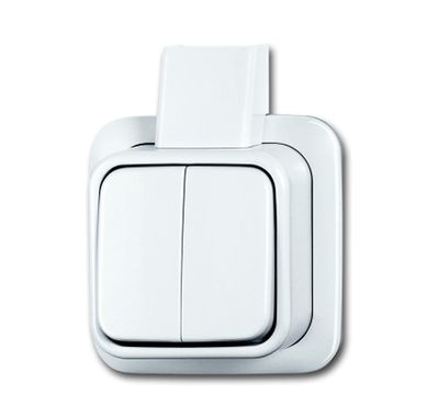 BUSCH-JAEG 2601 5 APJW SCHAK SERIE +PLT OPB ALPIN STK