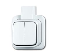 BUSCH-JAEG 2601 5 APJW SCHAK SERIE +PLT OPB ALPIN STK