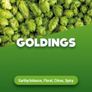 Hopbellen Goldings 1 kg