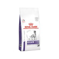 Royal Canin Dental Hond (DLK 22) - 6 kg
