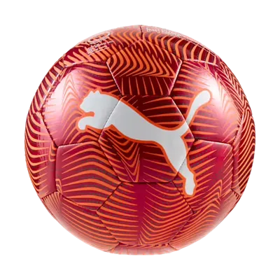 Puma Final Graphic Voetbal