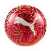 Puma Final Graphic Voetbal