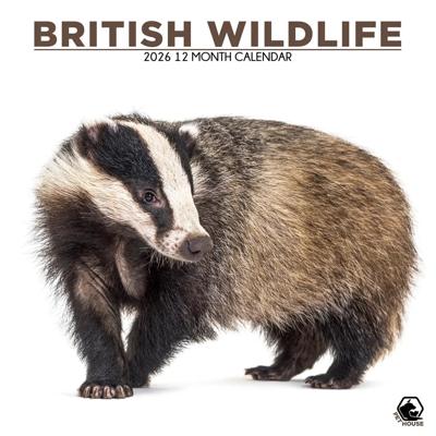 British Wildlife Kalender 2026