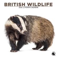 British Wildlife Kalender 2026