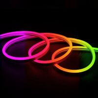 RGB neon strip van 9 meter met afstandsbediening