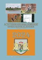Achterhoekse & Liemerse spreukenkalender 2024 (Kalender)