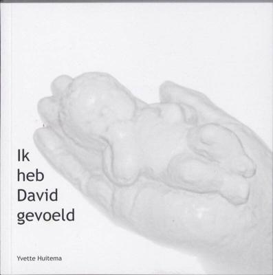 Ik heb David gevoeld (Paperback)