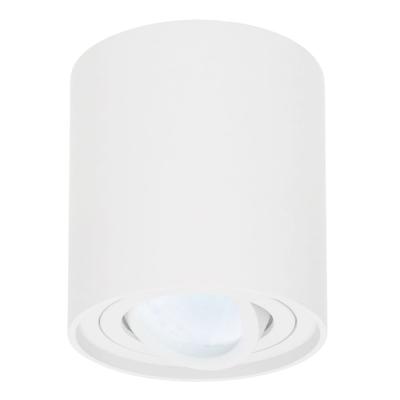 Ronde LED Opbouwspot Ray - 5 Watt 400 lumen - 6000K daglicht wit - Kantelbaar - GU10 - Opbouwspot - IP20 Voor binnen - Wit - Dimbaar