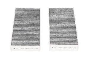 Interieurfilter FCA10021C