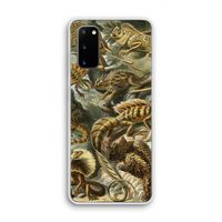 Haeckel Lacertilia: Samsung Galaxy S20 Transparant Hoesje