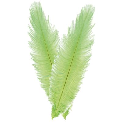 Pieten struisvogelveer/sierveer - 2x - lime groen - 55-60 cm - decoratie/hobbymateriaal