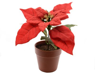 Poinsettia zijde pot d16h14 cm kerstrood - Decoris