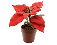 Poinsettia zijde pot d16h14 cm kerstrood - Decoris