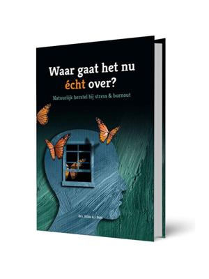 Waar gaat het nu echt over? (Hardback)