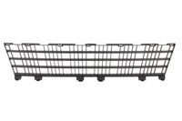 Ventilatiegrille, bumper 6502076033994P