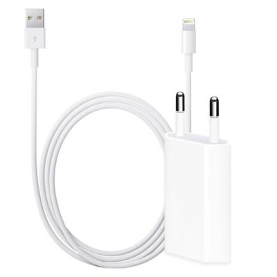 Bulkverpakking iPhone kabel 2m + adapter