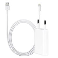 Bulkverpakking iPhone kabel 2m + adapter
