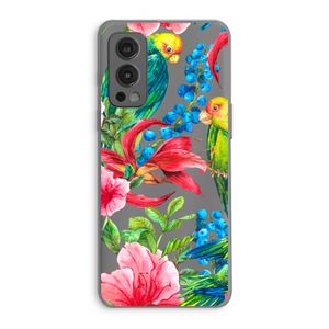 Papegaaien: OnePlus Nord 2 5G Transparant Hoesje