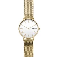 Horlogeband Skagen SKW2713 Staal Doublé 16mm