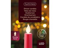 LED dinerkaars d2h24 cm rood/wwt 2st kerst - Lumineo