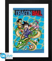 Dragonball Framed Print - Cover