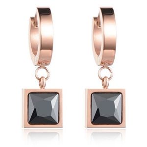 Cilla Jewels Damesoorbellen met Monochrome Zirkonia