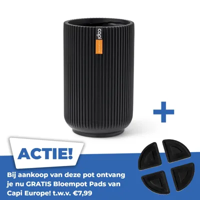 Vaas hoog groove d14h22 zwart