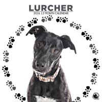 Lurcher Kalender 2026