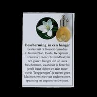 Hanger met bescherming 1 Stuks
